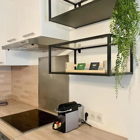公寓 Le Romarin - Air Conditioning And 1 Private Parking Space 锡富尔勒普拉日